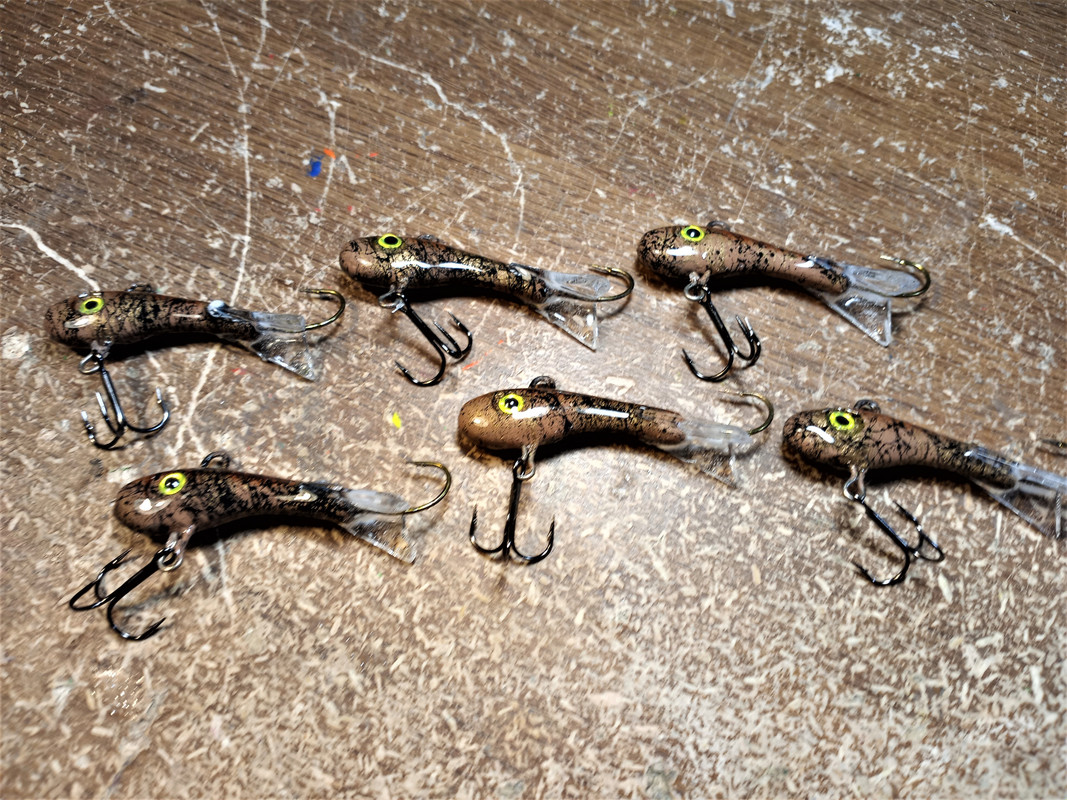 browngoby