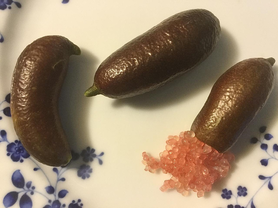 0A736907-DAAD-4A76-BAAA-19E7A07CFF46