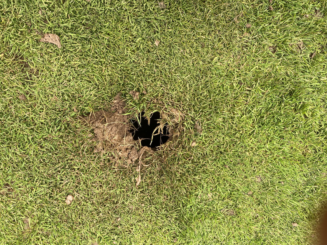 37FA5662-1121-41E9-886C-E3CEEE512173