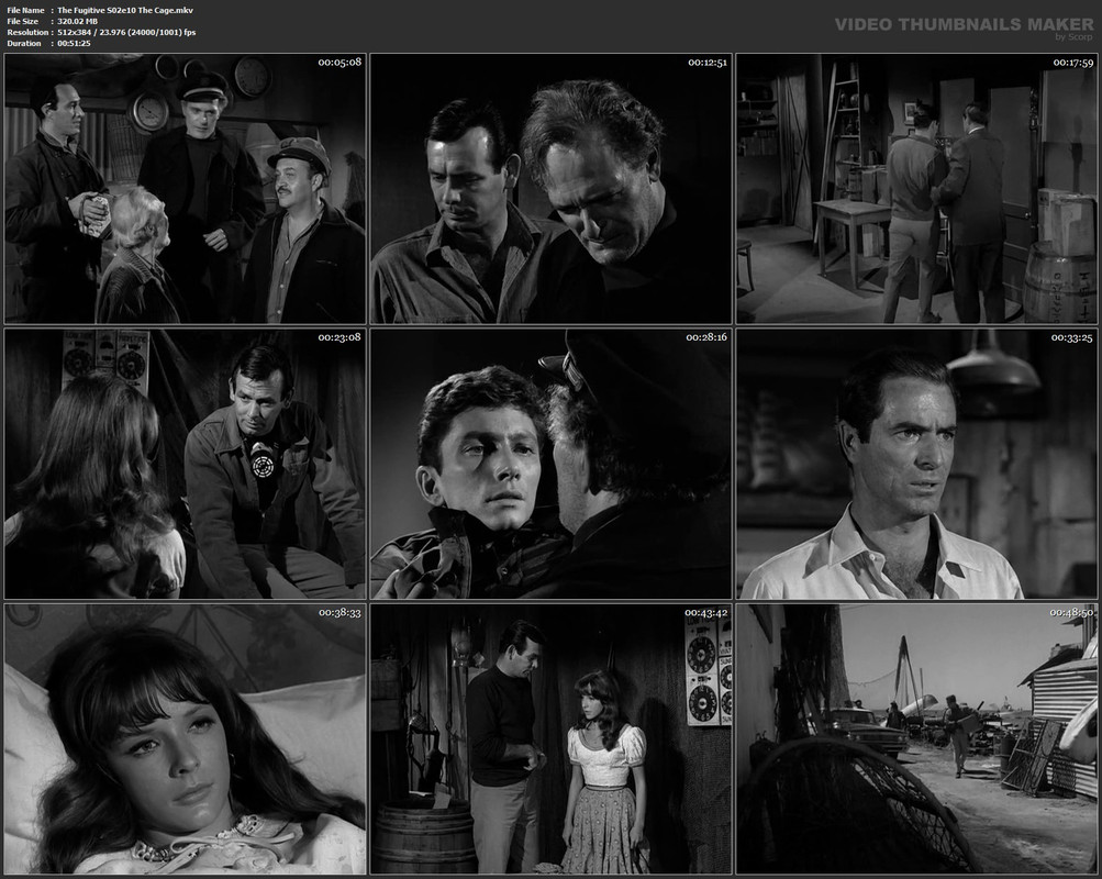 The Fugitive S02e10 The Cage.mkv