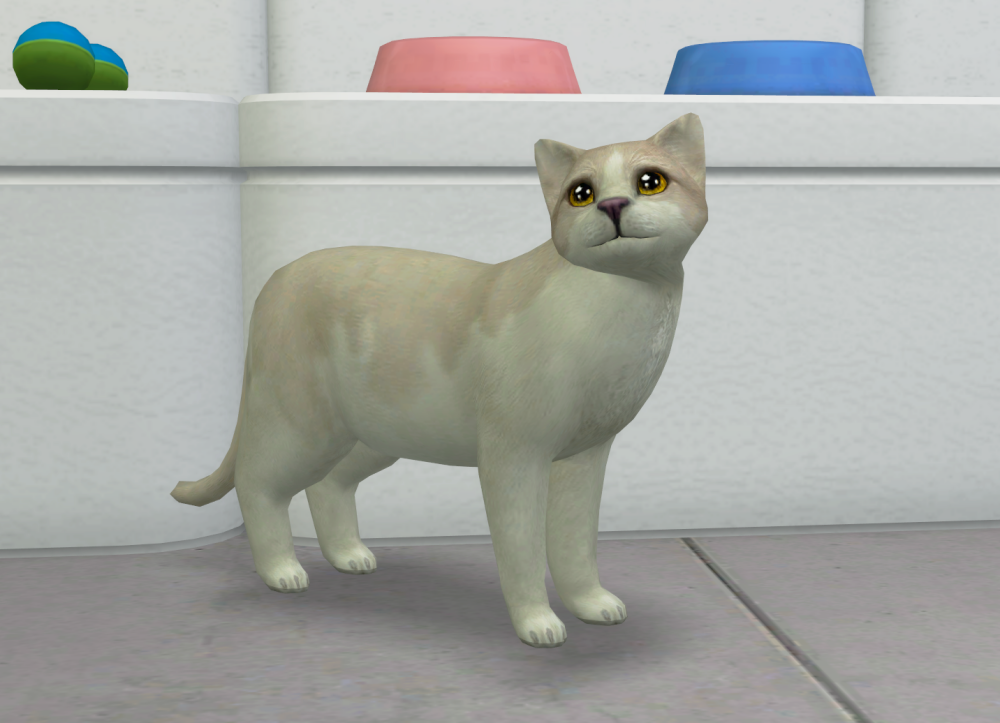 Sims2-EP9-RPC-2022-04-09-17-02-48-79