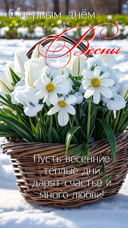 https://i.postimg.cc/RFxXnMMf/03c24a6ccb6abcd5201fcde844cd347c.jpg