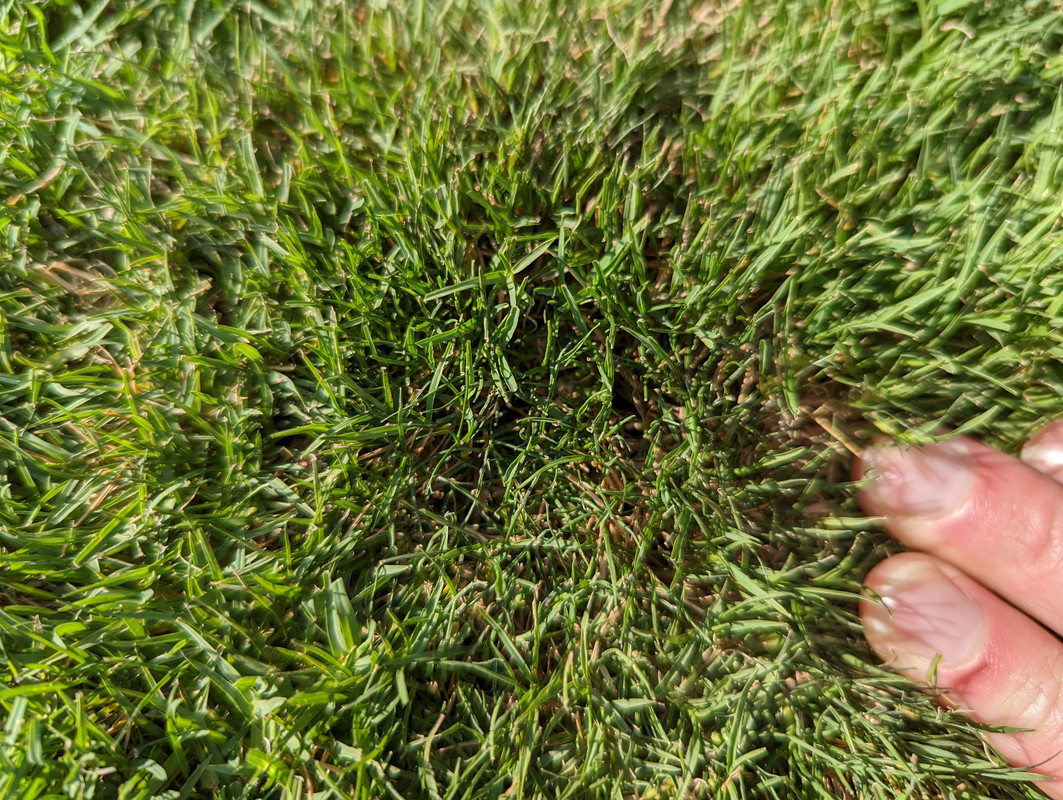 PXL_20220519_140037341