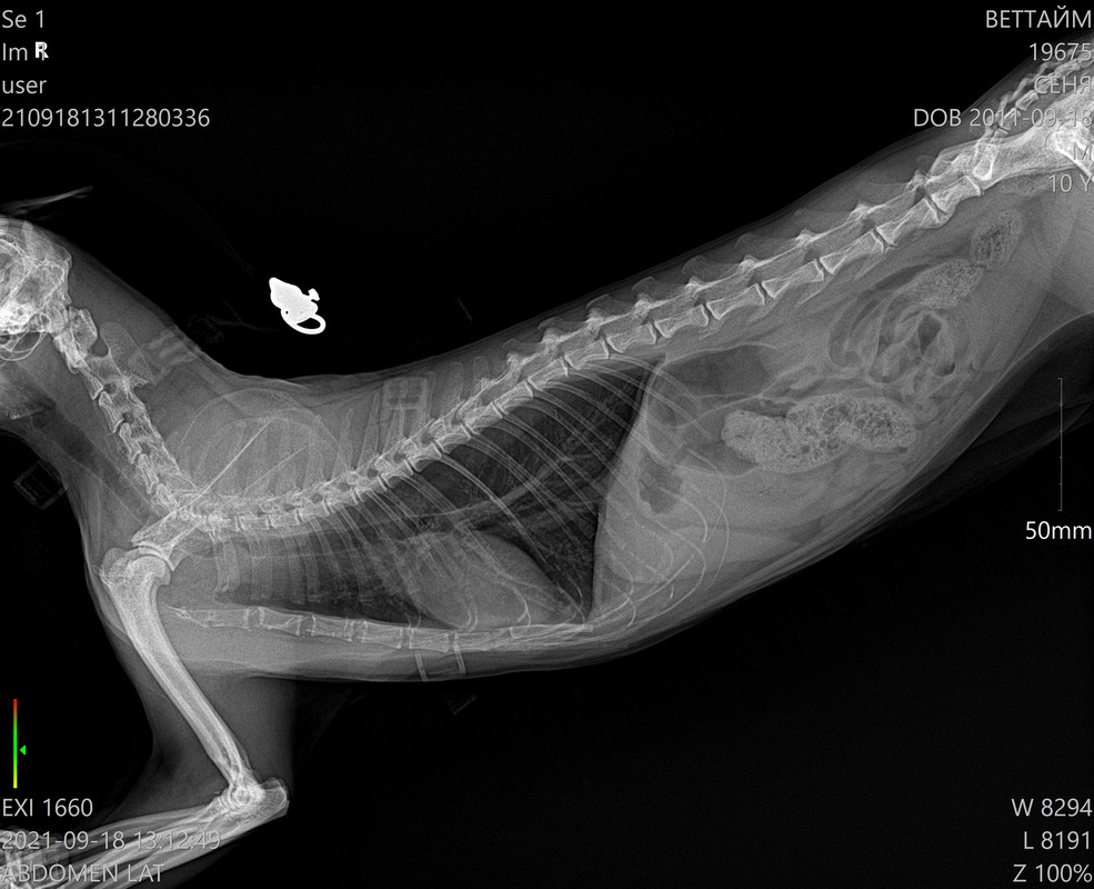 19675_СЕНЯ__09-18-2021 13_12_49_1-1