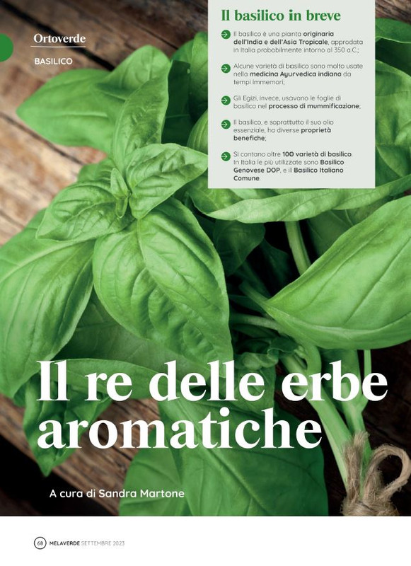 melaverde Set 2023 (7)