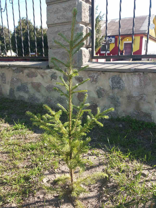 зображення_viber_2021-04-28_09-42-53