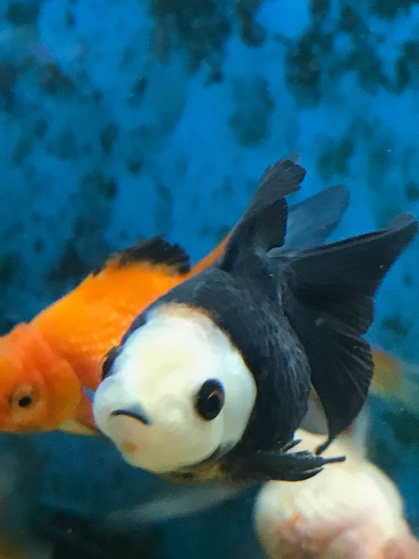 2759DA5B-87E6-4613-969C-F029E0D371A4