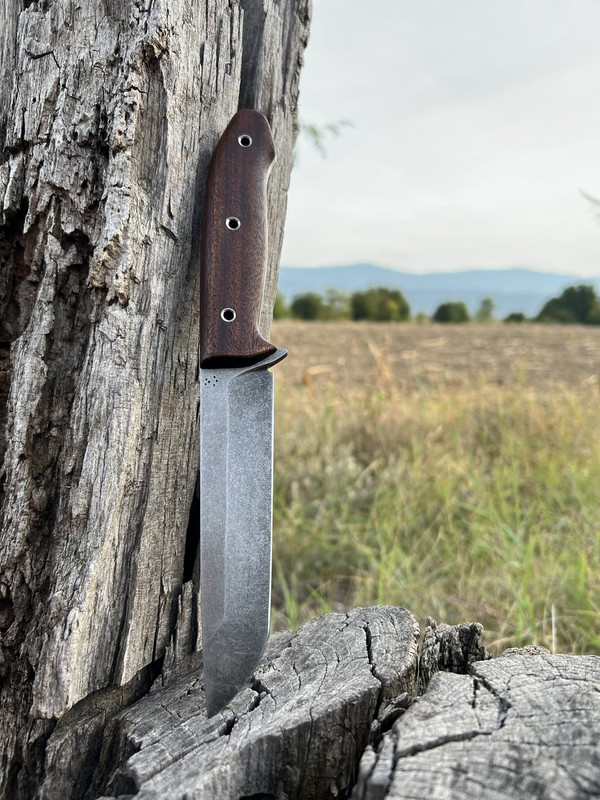 14B82411-360B-442A-8362-9B5B20EDFD59