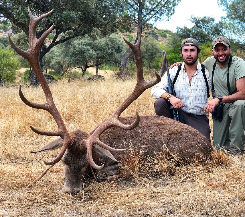 Silver-Stag.jpg