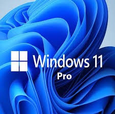 Windows 11 Pro – Lifetime (Retail Key) Logo