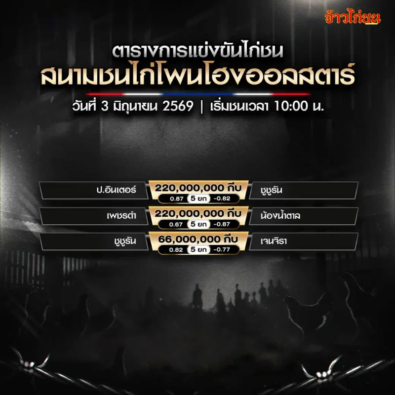 โปรแกรมไก่ชน สนามชนไก่โพนโฮงออลสตาร์ วันที่ 3 มิถุนายน 2026