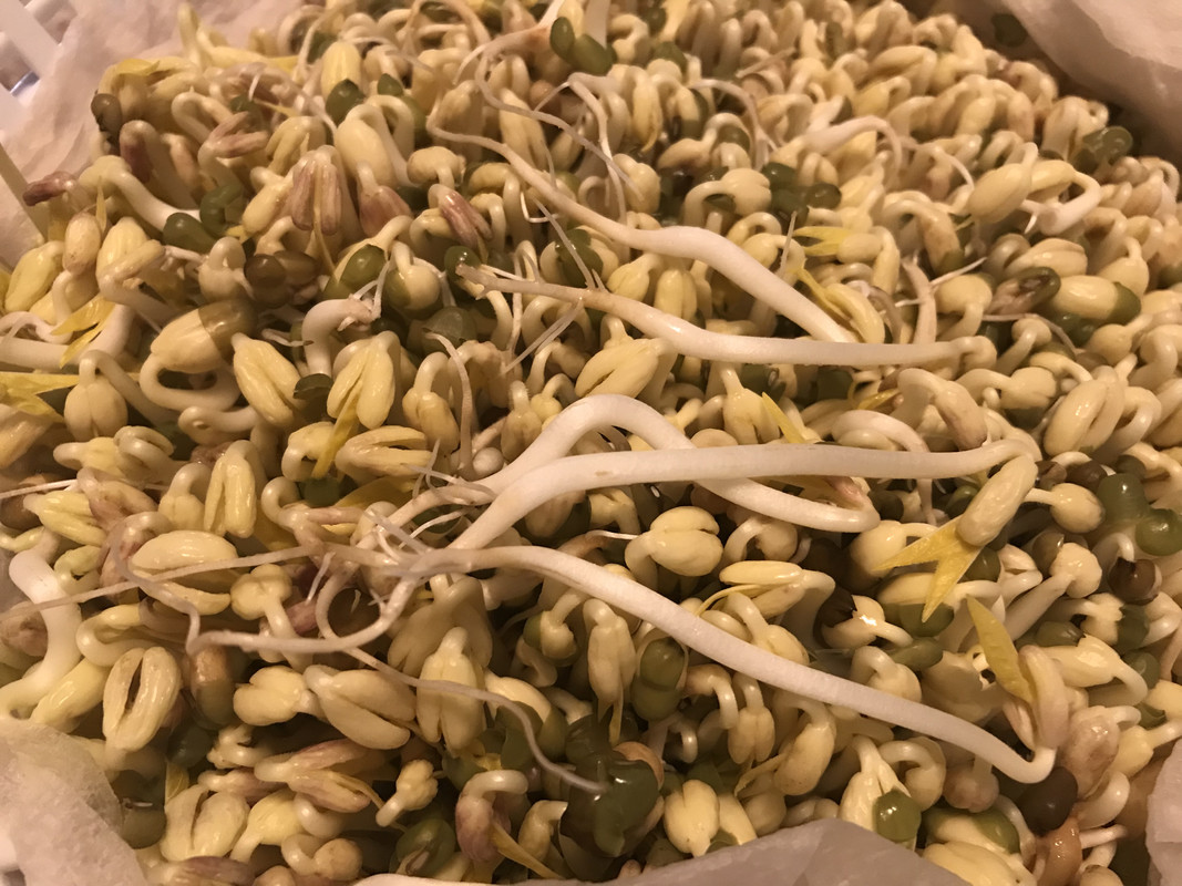 36A16915-A5CA-4A31-A9B4-050D178CB4BE