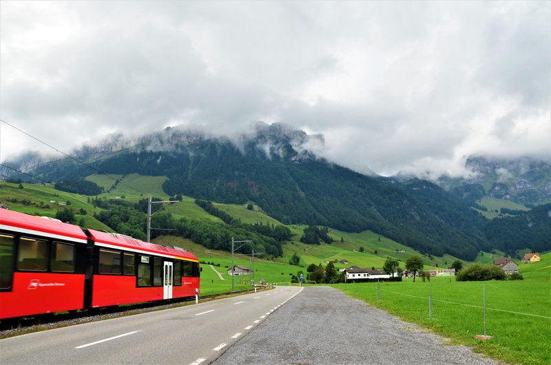 Suiza y sus pueblos-2019 - Blogs de Suiza - APPENZELL-6-9-2019 (20)