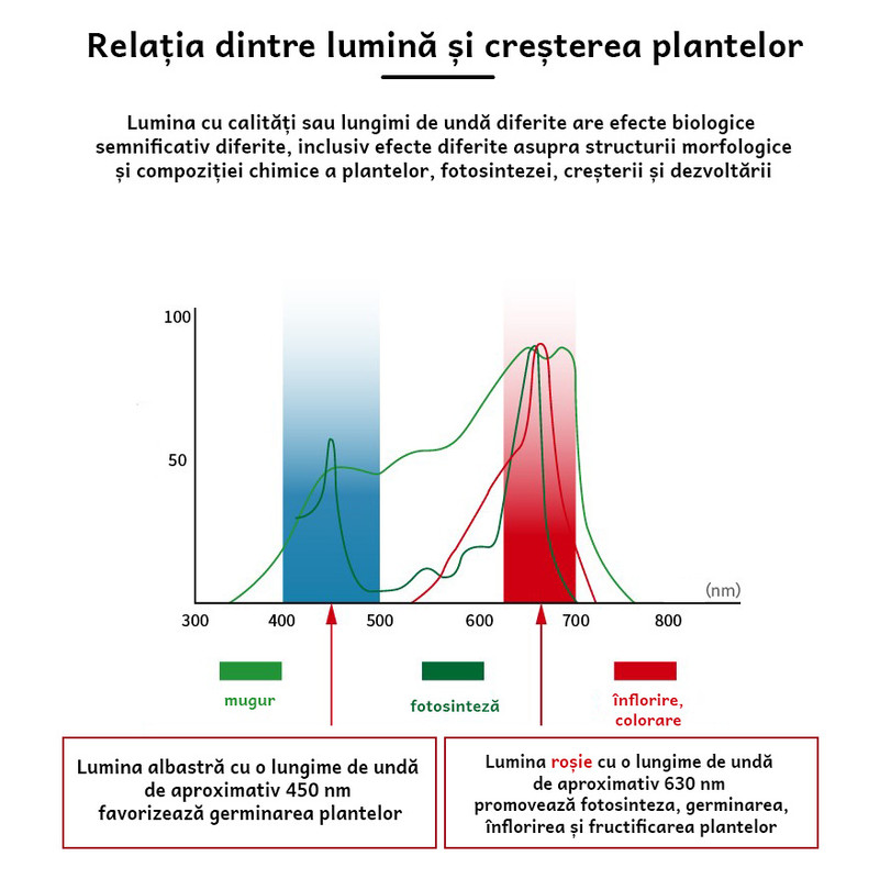 beneficiile luminii cu spectru complet