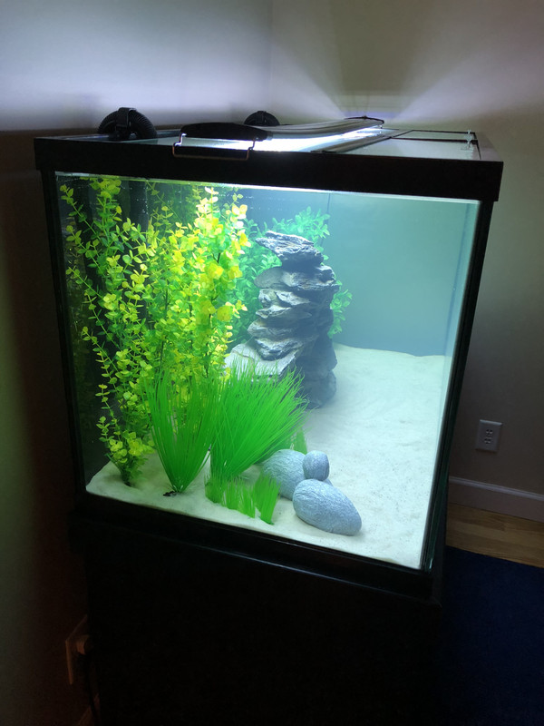 B6ADA65F-A5F0-46C8-8E1F-87580160A4D4