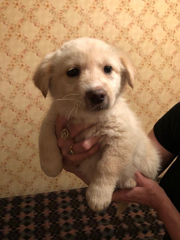 EF70859C-9A57-440A-B10F-A63E85C92503