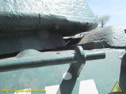 IMG-5336