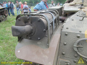 IMG-6529