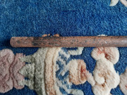 454965452_1174566913656560_2520987344132773779_n