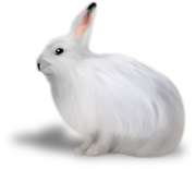 WINTER-LOVE-DBJ-ELEM-7