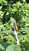 20260530-183657.jpg
