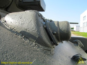 IMG-3556
