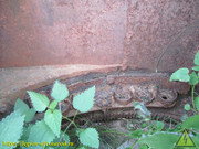 IMG-3567