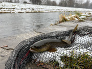 570-BE8-E9-A55-F-4-AB2-8-FFB-5062-B93-CA