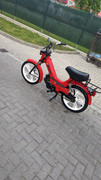 PXL-20250415-160618495-MV.jpg