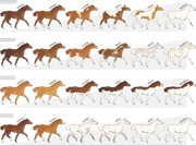 GDD-Patterns1