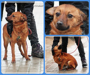 Be-Funky-collage-28.jpg&key=8c63372ec410