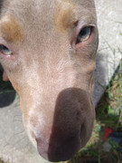 IMG_20220701_133702580