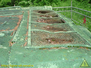 DSC03747