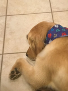 image_2023-02-02_231310370