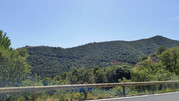 IMG-20260621-151756332