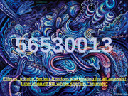 56530013 Infinitecode