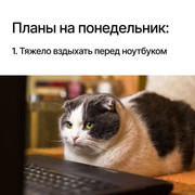 abf0a181db5dc9ce09e06b5f80e1eb03.jpg