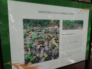 Arroceros-Forest-Park-Manila-Bagras20260715-142134