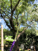 2031F6F9-575B-464D-B21A-F8341C1D74FA