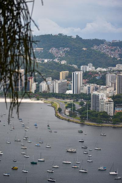 В джазе только девушки или аргентинско-бразильский калейдоскоп В джазе только девушки или аргентинско-бразильский калейдоскоп