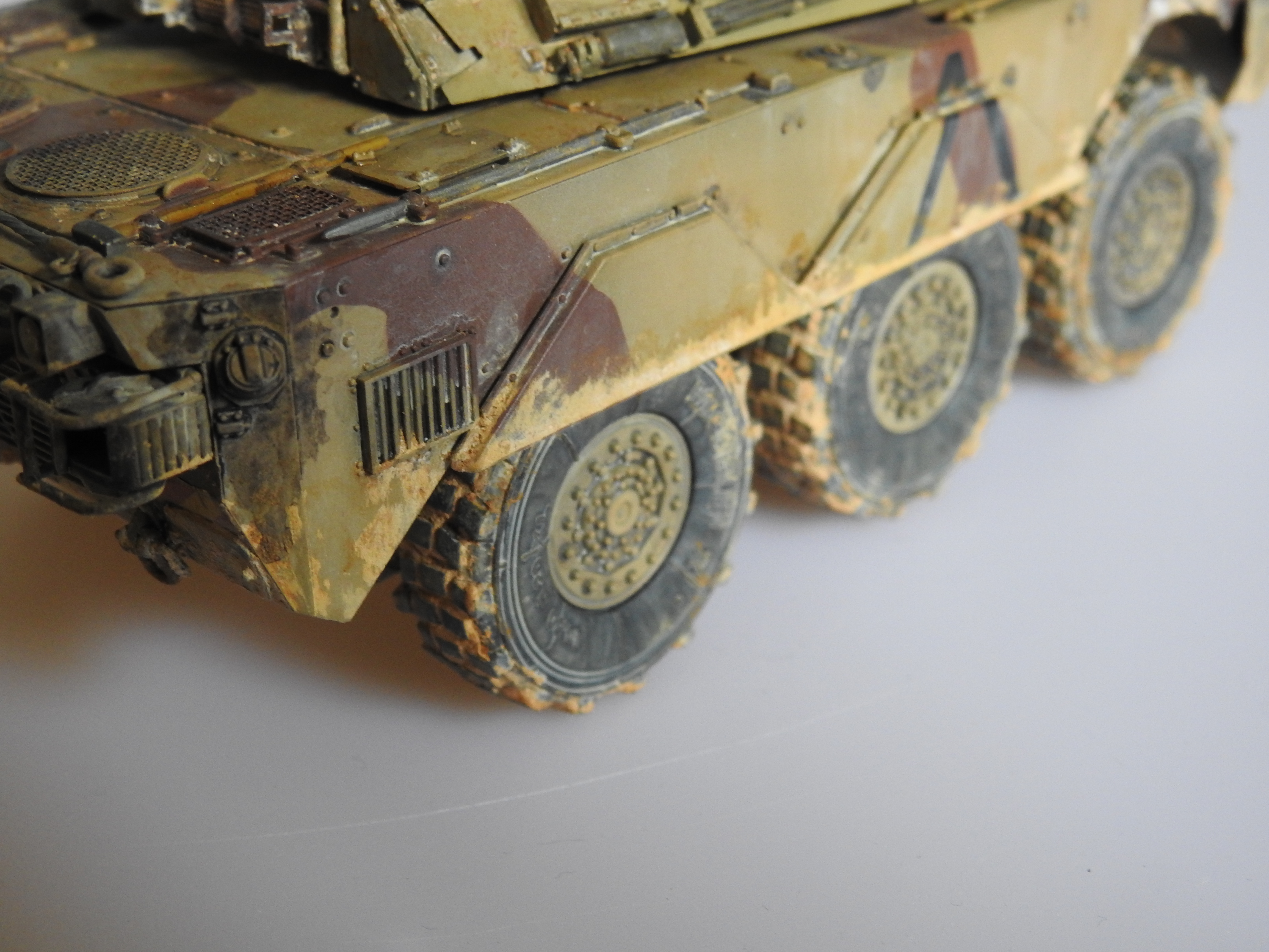 AMX-10RC 1/35 Tiger models – klar DSCN7385
