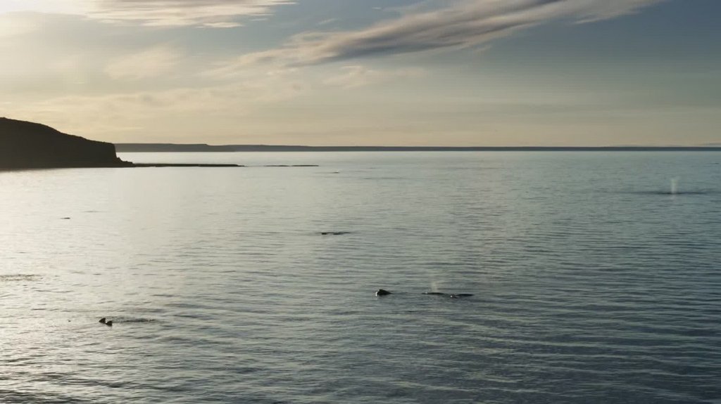 [Image: kntk09d8x2xu.jpg]