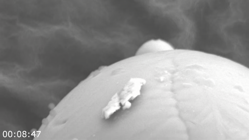 [Image: gz1bkbv1j07b.png]