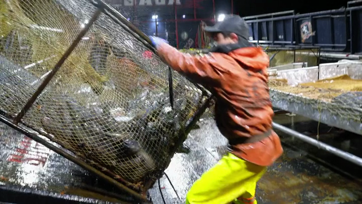 [Image: zd8j29lkvb4q.png]