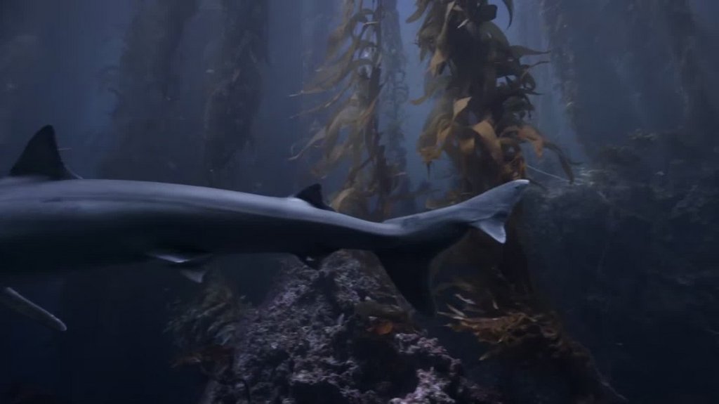 [Image: 83d7sxdnjj9o.jpg]