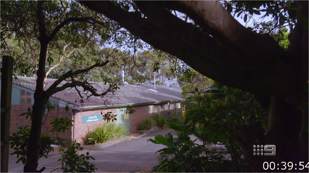 [Image: u5dyh9i0ayx9.png]