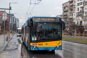 IMG-3633