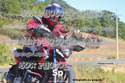 IMG-2815