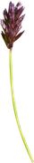 0-1c0e16-e20fb2d5-orig