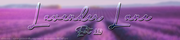 Lavender - Banner